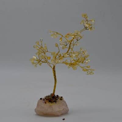 עץ אבני סיטרין - פרנסה טובה ושפע כלכלי