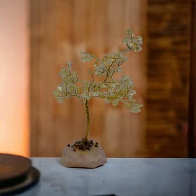 עץ אבני סיטרין - פרנסה טובה ושפע כלכלי