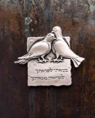 מגנט זוג יונים